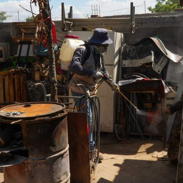 Gobierno de Sonora informa que no se han confirmado defunciones por dengue